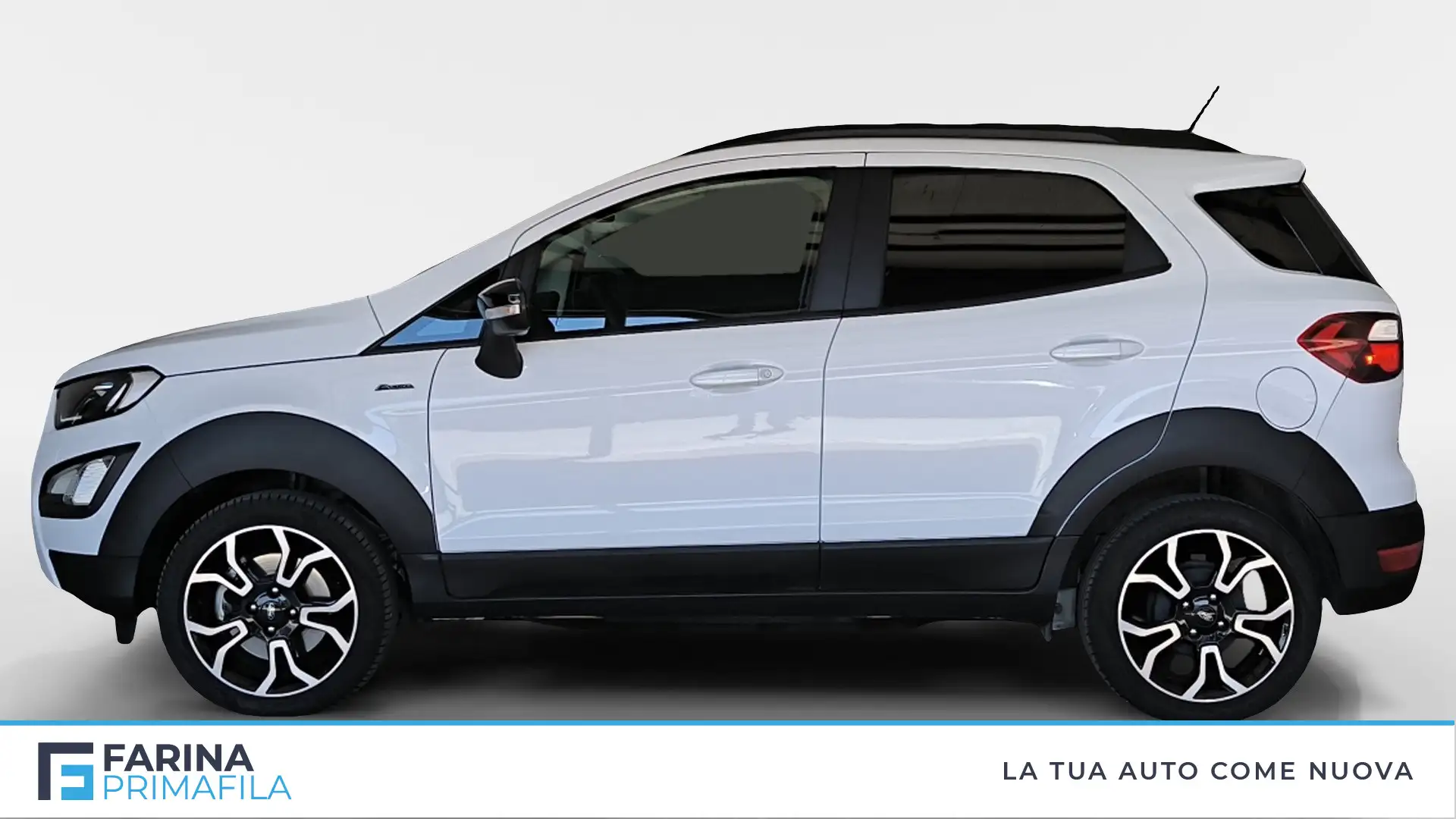 Ford EcoSport 1.0 ecoboost Active s&s 125cv Bianco - 2