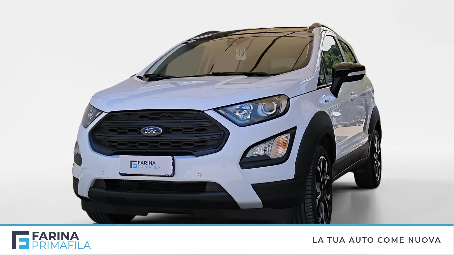 Ford EcoSport 1.0 ecoboost Active s&s 125cv Bianco - 1