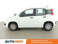 Fiat Panda 1.2 Easy Wit - thumbnail 3