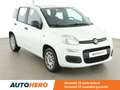 Fiat Panda 1.2 Easy Wit - thumbnail 21