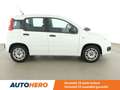 Fiat Panda 1.2 Easy Wit - thumbnail 20