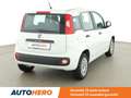 Fiat Panda 1.2 Easy Wit - thumbnail 19