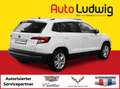 Skoda Karoq 1.0 TSI Ambition*DAB-RADIO*PARK PILOT*SHZ*ACC*T... Weiß - thumbnail 2