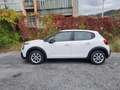 Citroen C3 1.5 BlueHDi 100 S&S Van Feel Bianco - thumbnail 6