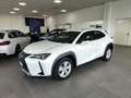 Lexus UX 250h Hybrid Auto Navi Camera Adap.Cruise FariLED Weiß - thumbnail 1