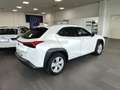 Lexus UX 250h Hybrid Auto Navi Camera Adap.Cruise FariLED Weiß - thumbnail 8
