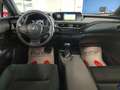 Lexus UX 250h Hybrid Auto Navi Camera Adap.Cruise FariLED Weiß - thumbnail 3