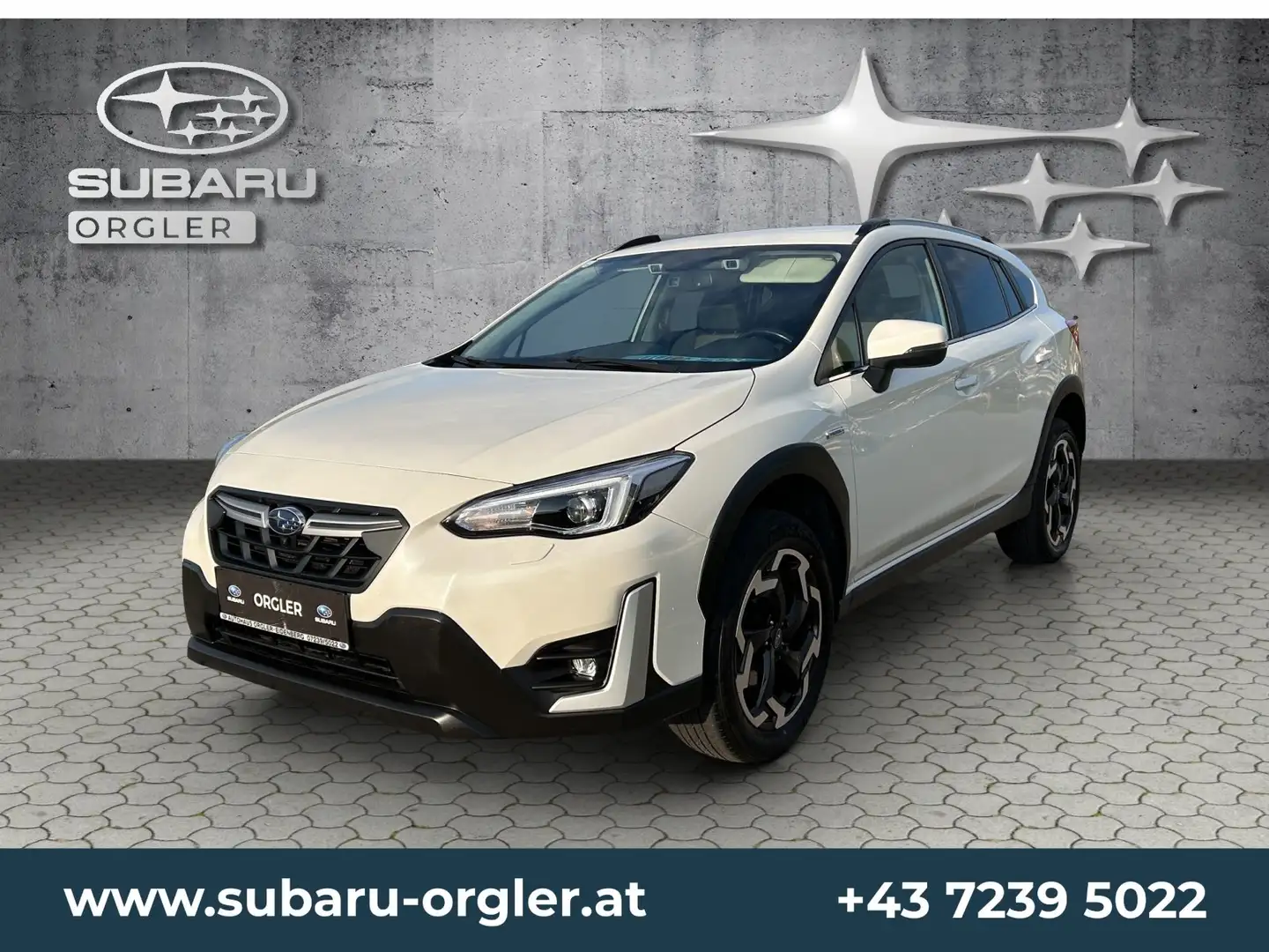 Subaru XV XV 2,0i e-Boxer CVT Style Xtra Weiß - 1