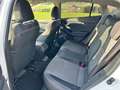 Subaru XV XV 2,0i e-Boxer CVT Style Xtra Weiß - thumbnail 25