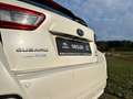 Subaru XV XV 2,0i e-Boxer CVT Style Xtra Weiß - thumbnail 17