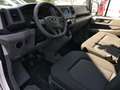 Volkswagen Crafter MAN TGE 3.140 Dreiseitenkipper EK AHK Weiß - thumbnail 9