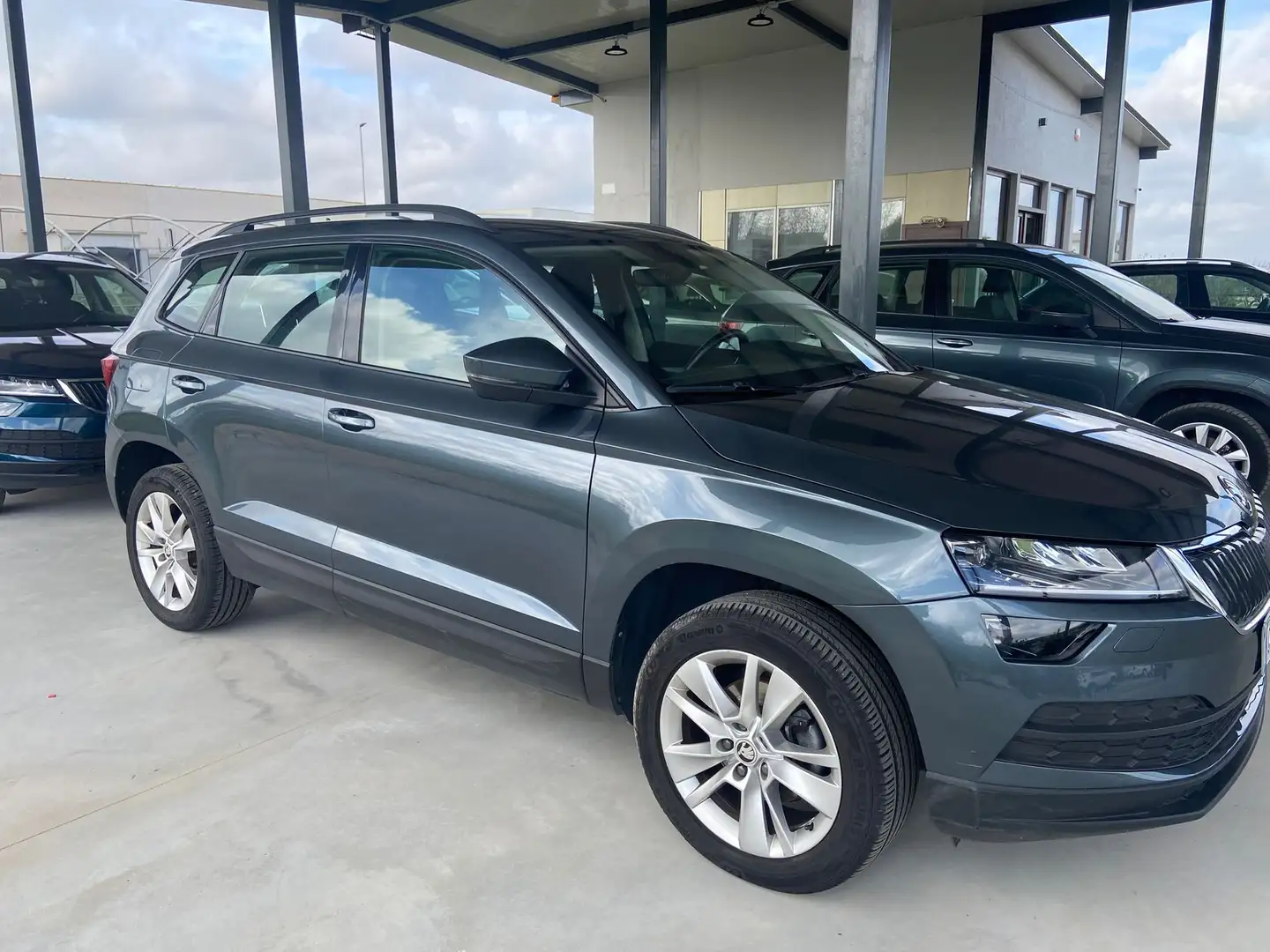 Skoda Karoq Karoq 2.0 tdi evo Executive 115cv Grigio - 2