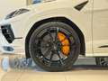 Lamborghini Urus 4.0 V8 S 666cv auto Weiß - thumbnail 6
