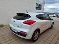 Kia ProCeed / pro_cee'd pro cee'd 1,4 MPI Titan Finanzierung möglich Weiß - thumbnail 4