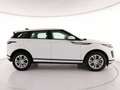 Land Rover Range Rover Evoque 2.0d i4 mhev S awd 163cv auto Bianco - thumbnail 6