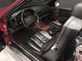 Mercedes-Benz SL 500 Burdeos - thumbnail 11
