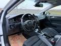 Volkswagen Golf Highline 2,0 BMT TDI DPF DSG Weiß - thumbnail 5