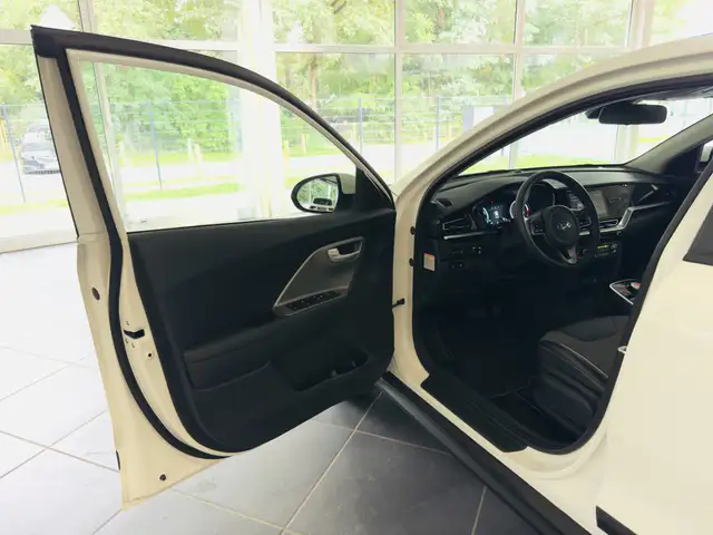 Kia Niro view 10