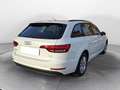 Audi A4 Avant 2.0 tdi Business 122cv my16 Blanc - thumbnail 4