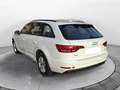 Audi A4 Avant 2.0 tdi Business 122cv my16 Bianco - thumbnail 6