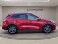 Ford Kuga 2.5 full hybrid ST-Line 2wd 190cv cvt Rojo - thumbnail 12