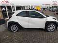 Toyota Aygo X 1.0 Business Edition SHZ KAMERA ACC Blanc - thumbnail 18