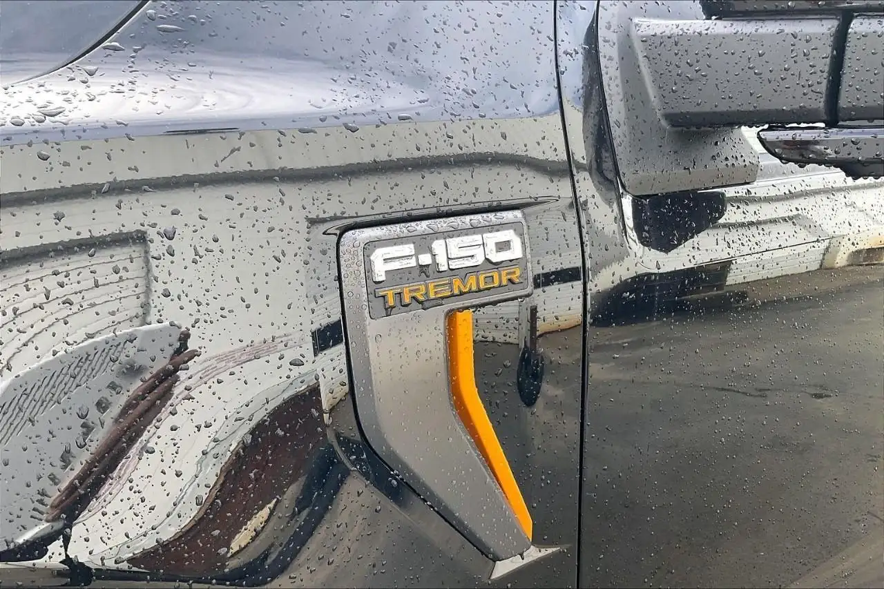 Ford F 150 fotografie Ford F 150