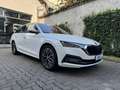 Skoda Octavia Octavia IV SW 2.0 tdi evo Style 150cv dsg Blanc - thumbnail 1