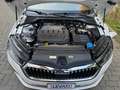 Skoda Octavia Octavia IV SW 2.0 tdi evo Style 150cv dsg Blanc - thumbnail 24
