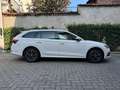 Skoda Octavia Octavia IV SW 2.0 tdi evo Style 150cv dsg Blanc - thumbnail 3