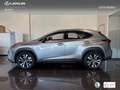 Lexus NX 300 300h Premium 2WD Argent - thumbnail 14