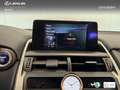 Lexus NX 300 300h Premium 2WD Argent - thumbnail 20