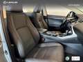 Lexus NX 300 300h Premium 2WD Argent - thumbnail 23