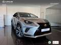 Lexus NX 300 300h Premium 2WD Argent - thumbnail 13