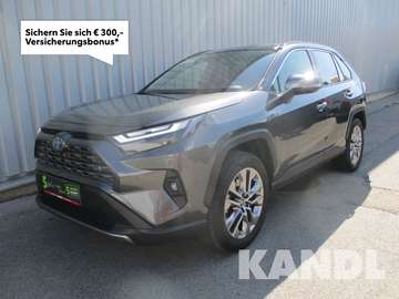 RAV4 2.5 VIP ACC+LED+Navi+Pano+SD+SHZ+Winterp.