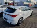 SEAT Leon FR Weiß - thumbnail 3