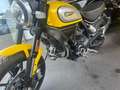 Ducati Scrambler Icon 800 naked bike | yellow/black Geel - thumbnail 4