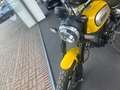 Ducati Scrambler Icon 800 naked bike | yellow/black Gelb - thumbnail 3