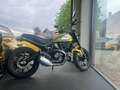 Ducati Scrambler Icon 800 naked bike | yellow/black Geel - thumbnail 1