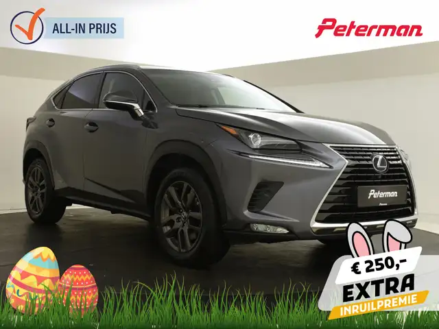 Lexus NX 300h AWD Executive Line | Schuifdak | Stoelverwarming |