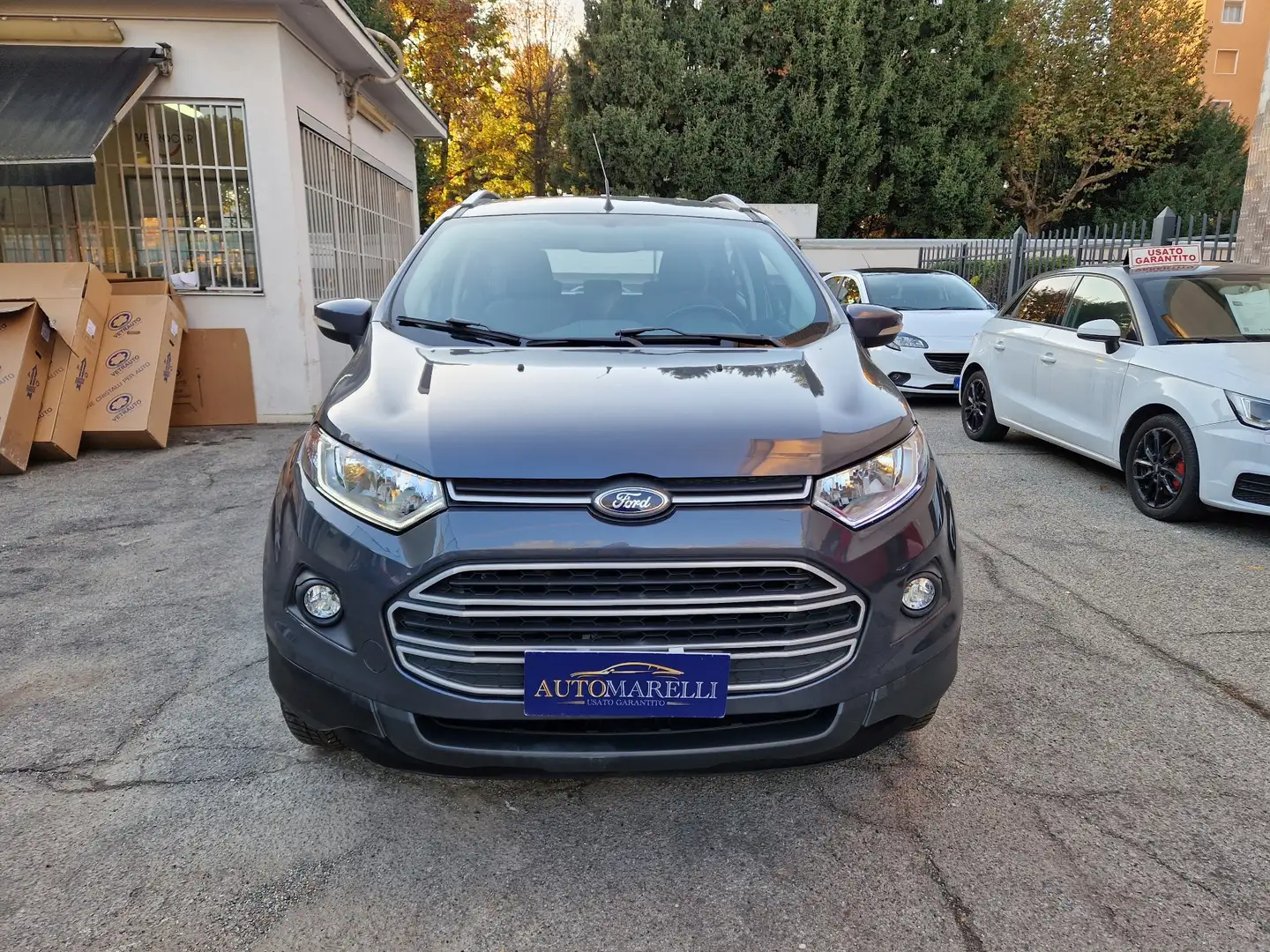 Ford EcoSport 1.5 tdci Business 95cv E6 Grigio - 2