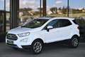 Ford EcoSport 1,0 EcoBoost Titanium Aut. Navi, Xenon, Panoram... Weiß - thumbnail 22