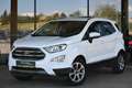 Ford EcoSport 1,0 EcoBoost Titanium Aut. Navi, Xenon, Panoram... Weiß - thumbnail 1