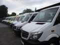 Mercedes-Benz Sprinter Kasten 314/316 CDI*Frischdienst 0 Grad* Rouge - thumbnail 20