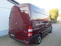 Mercedes-Benz Sprinter Kasten 314/316 CDI*Frischdienst 0 Grad* Rouge - thumbnail 6