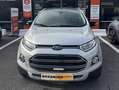 Ford EcoSport Ecosport 1.0 EcoBoost FWD Business Class Gris - thumbnail 1