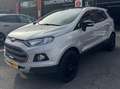 Ford EcoSport Ecosport 1.0 EcoBoost FWD Business Class Gris - thumbnail 2