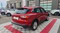 Ford Kuga 1.5 ECOBLUE 120 BVA8 TITANIUM Rouge - thumbnail 8