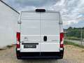 Citroen Jumper 2.2 BlueHDi L3H2 Driver TVA/3Pl/NAVI/CAMERA/CLIM Blanc - thumbnail 5