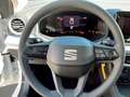 SEAT Ibiza Reference Edition 1.0 80PS Weiß - thumbnail 9
